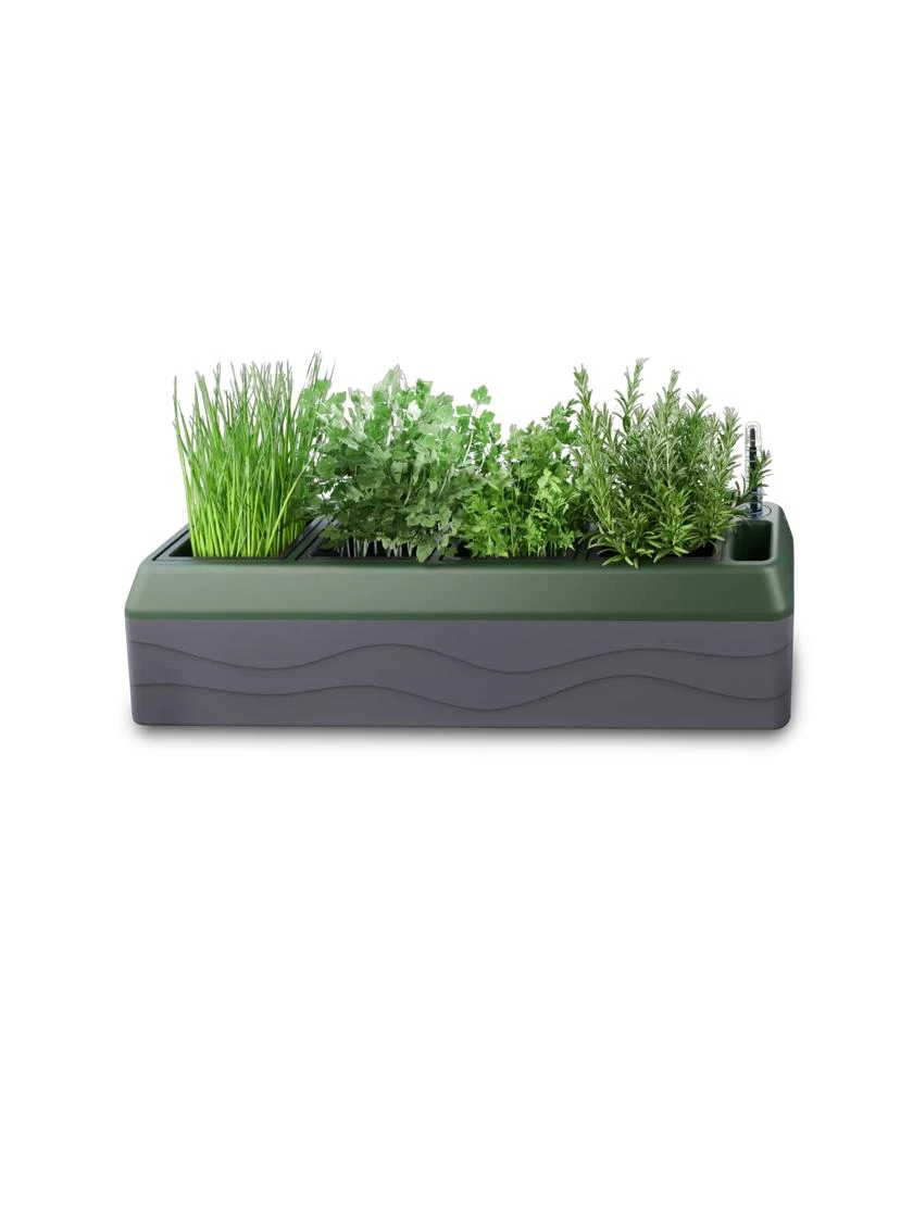 Provence Self-Watering Herb Planter 8 Provence Self-Watering Herb Planter - Image 6