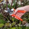 Castellari B12 Double-Blade Pruner 1 Castellari B12 Double-Blade Pruner -Garden Care 8611973 098 tif