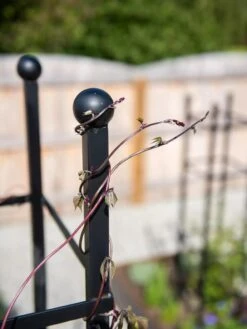 Essex Square Obelisk -Garden Care 8611984 278 tif