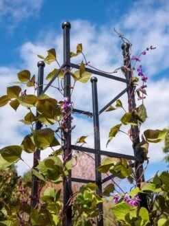 Essex Square Obelisk -Garden Care 8611984 354 tif