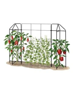Zenith Trellis 8 Zenith Trellis -Garden Care 8612035 art tif