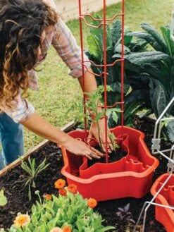 Deluxe Tomato Halos, Set Of 2 14 Deluxe Tomato Halos, Set Of 2 -Garden Care 8612045 135 tif