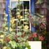 Summer House Outdoor Wall Art 1 Summer House Outdoor Wall Art -Garden Care 8612563 01v summer house outdoor wall art