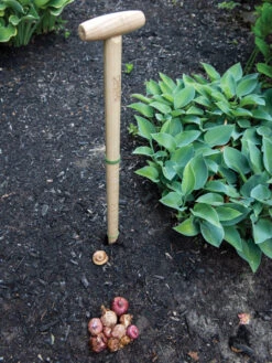 Wicked Big Dibber 10 Wicked Big Dibber -Garden Care 8612667 0028