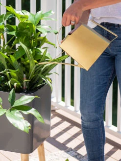 Precision Brass Watering Can 9 Precision Brass Watering Can -Garden Care 8612691 0011