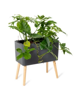 Ava Self-Watering Rectangular Planter 14 Ava Self-Watering Rectangular Planter -Garden Care 8612691 0013