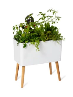 Ava Self-Watering Rectangular Planter 15 Ava Self-Watering Rectangular Planter -Garden Care 8612691 0014
