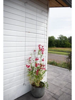 Chicken Wire Wall Trellis -Garden Care 8612717 0081