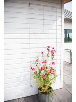 Chicken Wire Wall Trellis -Garden Care 8612717 0093