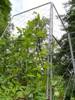 Chicken Wire Pea Trellis -Garden Care 8612718 7308