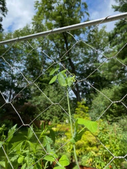 Chicken Wire Pea Trellis -Garden Care 8612718 7311