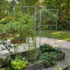 Chicken Wire Pea Trellis -Garden Care 8612718 7313 chicken wire pea trellis