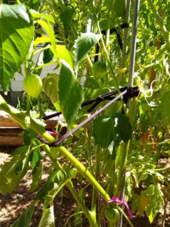 Farmyarn® Multipurpose Garden Tie, 2 Pack -Garden Care 8612948 02v