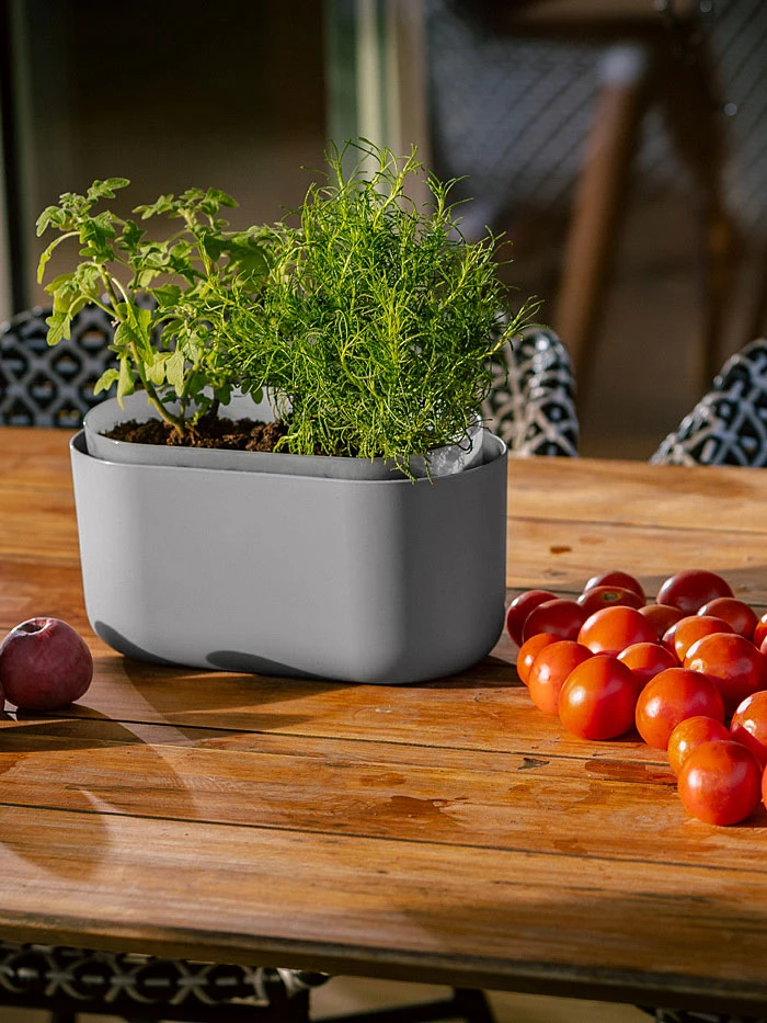 Tolita Recycled Self-Watering Flower Box 3 Tolita Recycled Self-Watering Flower Box