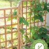 Bamboo Zig-Zag Trellis 24" X 36" -Garden Care 8613151 15