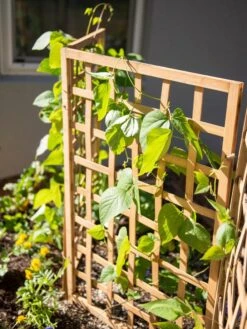 Bamboo Zig-Zag Trellis 24" X 36" 16 Bamboo Zig-Zag Trellis 24" X 36" -Garden Care 8613151 6467