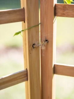 Bamboo Zig-Zag Trellis 24" X 36" 17 Bamboo Zig-Zag Trellis 24" X 36" -Garden Care 8613151 6483