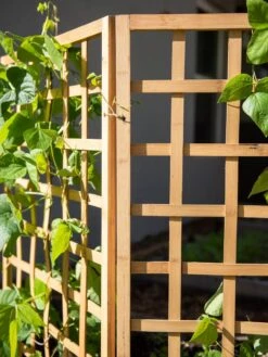 Bamboo Zig-Zag Trellis 24" X 36" 18 Bamboo Zig-Zag Trellis 24" X 36" -Garden Care 8613151 6491