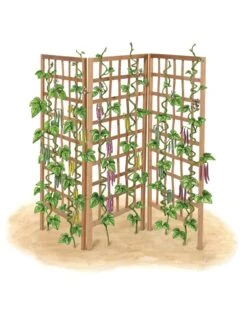 Bamboo Zig-Zag Trellis 24" X 36" 20 Bamboo Zig-Zag Trellis 24" X 36" -Garden Care 8613151 art flat