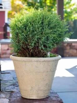 Self-Watering LavaStone® Anson Pot 12 Self-Watering LavaStone® Anson Pot -Garden Care 8613255 0144