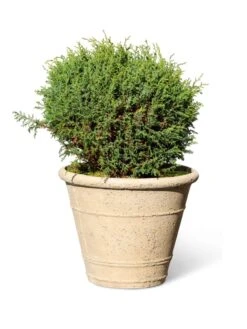 Self-Watering LavaStone® Anson Pot 14 Self-Watering LavaStone® Anson Pot -Garden Care 8613255 0150