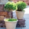 Self-Watering LavaStone® Anson Pot 2 Self-Watering LavaStone® Anson Pot -Garden Care 8613256 0124 self watering lavastone anson pot