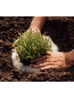 Hortiwool ®, 5 Pad Pack 13 Hortiwool ®, 5 Pad Pack -Garden Care 8613263 06v