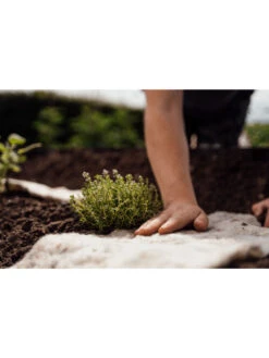 Hortiwool ®, Starter Garden Pad -Garden Care 8613263 09v