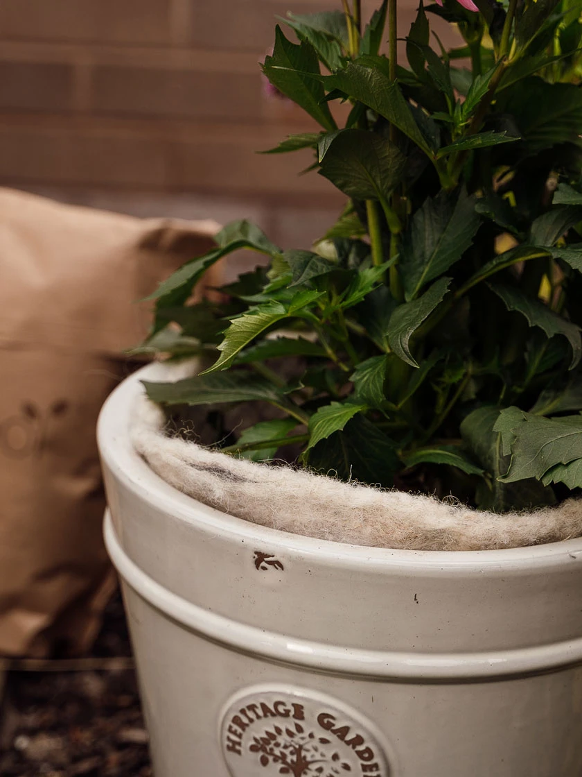 Hortiwool ®, 5 Pad Pack 8 Hortiwool ®, 5 Pad Pack - Image 6