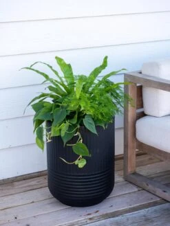 Garden Care -Garden Care 8613267 0111