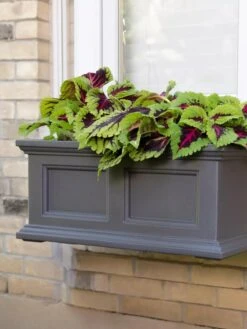 Fairfield Self-Watering Window Box, 2’ 13 Fairfield Self-Watering Window Box, 2’ -Garden Care 8613268 08V tif