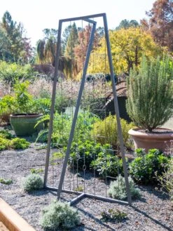Pilar Free Standing Trellis -Garden Care 8613316 5164
