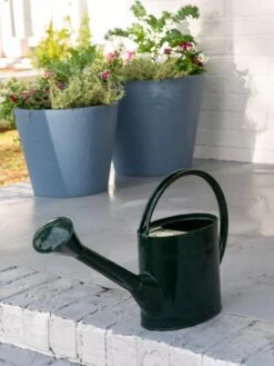 Long Reach Watering Can, Large -Garden Care 8613346 0142 long reach watering can large