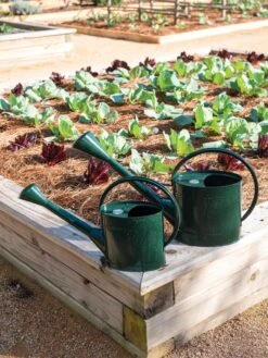 Long Reach Watering Can, Large -Garden Care 8613346 0148 1