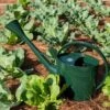 Long Reach Watering Can, Large -Garden Care 8613346 0149