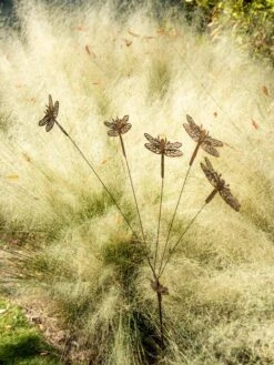 Flutterer Garden Stake -Garden Care 8613372 0162