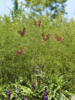 Flutterer Garden Stake -Garden Care 8613372 01V tif