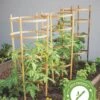 Bamboo Tomato Cages, Set Of 3 -Garden Care 8613426 7