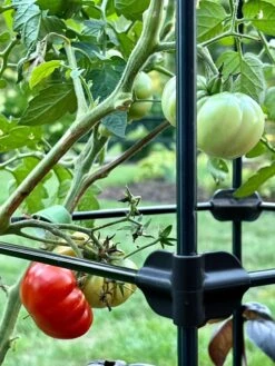 Oasis Self-Watering Tomato Planter With Trellis -Garden Care 8613440 01TEST