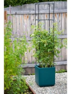 Oasis Self-Watering Tomato Planter With Trellis -Garden Care 8613440 0376 3 4 1