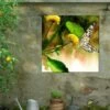 Butterfly Kiss Outdoor Wall Art -Garden Care 8613998 02V butterfly kiss outdoor wall art
