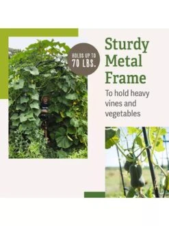 Titan Squash Tunnel 13 Titan Squash Tunnel -Garden Care B07932DMCR plantsupport benefits 2