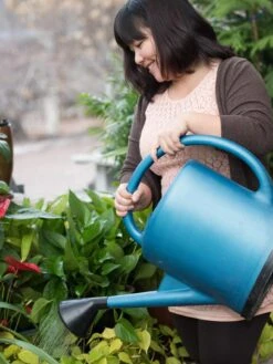 French Blue Watering Can 15 French Blue Watering Can -Garden Care EmilyHoangSquare 0151 tif