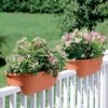 2' X 4' Railing Planter, 25" 1 2' X 4' Railing Planter, 25" -Garden Care GS34336 01 24 inch 2x6 railing planters