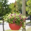 Self-Watering Hanging Basket -Garden Care GS34368 10 tif