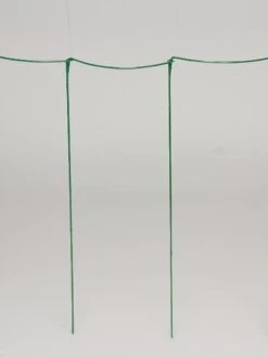 Curved Linking Stakes -Garden Care GS35241 04S tif