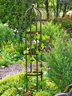 Jardin Bird Cage Support, 26" 10 Jardin Bird Cage Support, 26" -Garden Care GS39529 01 tif