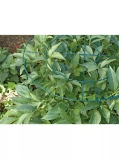 Grow Through Supports, Set Of 3 -Garden Care GS40172 01 1