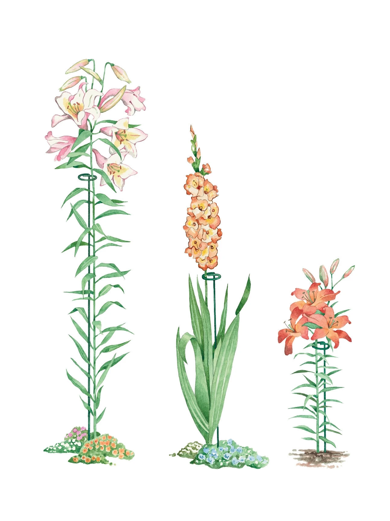 Single Stem Supports, Set Of 3 3 Single Stem Supports, Set Of 3