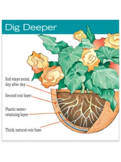 AquaSav™ Replacement Liners, Set Of 3 8 AquaSav™ Replacement Liners, Set Of 3 -Garden Care hiw 38 583